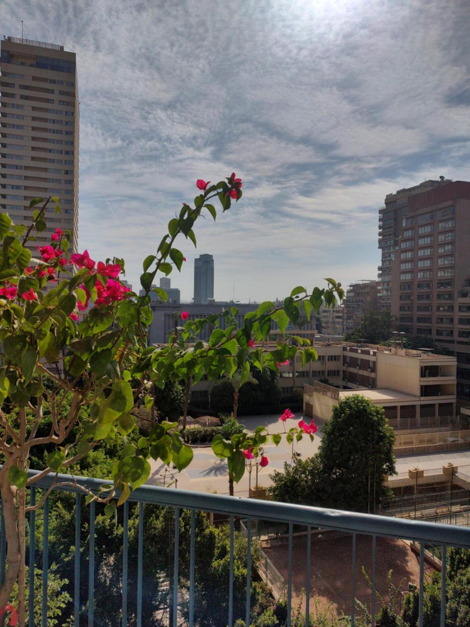 Madina - Dokki * Cairo
